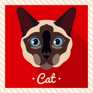 对称的动物的画像.矢量图, 贺卡, 海报.图标.动物的脸.字体的铭文.