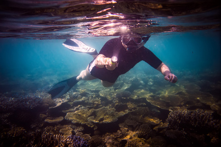 snorkeler 潜水沿脑珊瑚