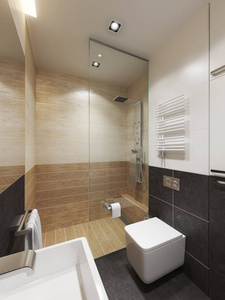 现代浴室内，3d 渲染