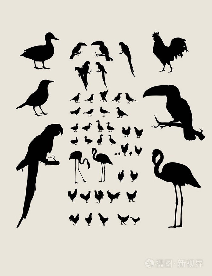 鸟剪影集合
