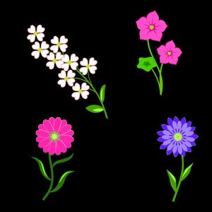 花卉图标。 洋甘菊郁金香。 带有花卉符号的