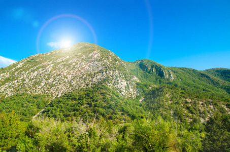 在法国山