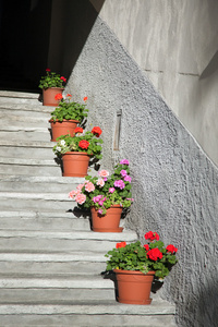 科马约尔奥斯塔用漂亮的花盆装饰的楼梯