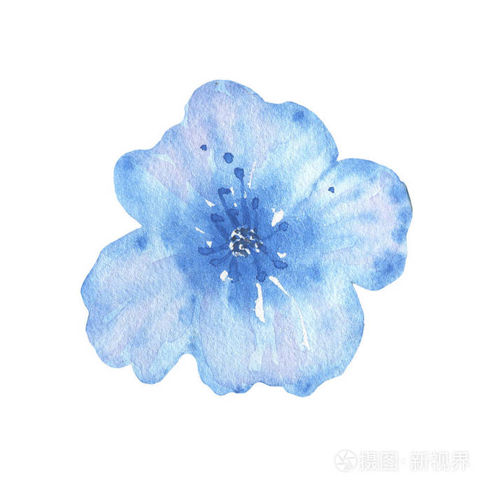 水彩手绘花白色背景上孤立照片 正版商用图片0eck1x 摄图新视界 水彩手绘花白色背景上孤立照片 正版商用图片0eck1x 摄图新视界
