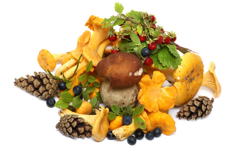 蘑菇, 浆果, 松果, 草莓和蓝莓隔离在白色背景上.森林里的礼物照片