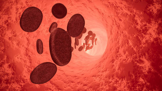 红细胞结构图片