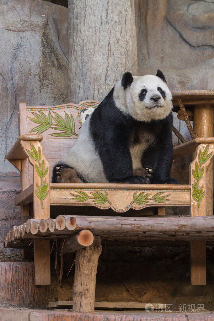 巨型熊猫熊