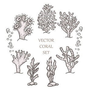 手绘水生珊瑚涂鸦矢量图