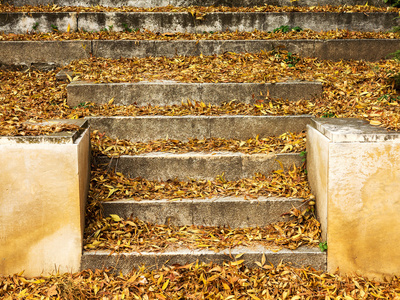 秋黄叶上的旧的具体步骤, 选择性对焦, 作为您的项目的背景