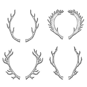 鹿茸角图片-鹿茸角素材-鹿茸角插画-摄图新视界