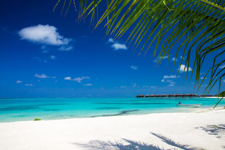 热带的白色沙滩，在马尔代夫