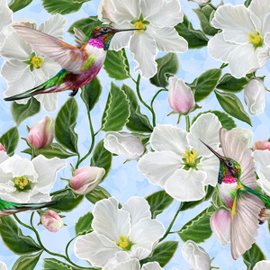 花卉背景，图案，无缝。春天开花。白色的花。白色的苹果花和鸟蜂鸟的分支