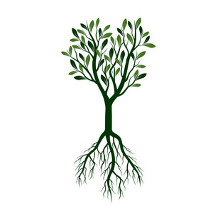 绿树与叶和根。矢量图