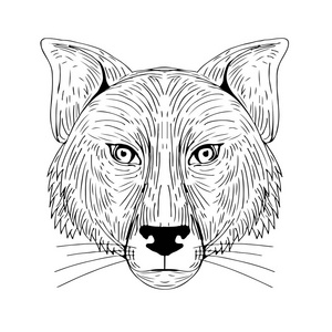 狐狸绘图图片 狐狸绘图素材 狐狸绘图插画 摄图新视界