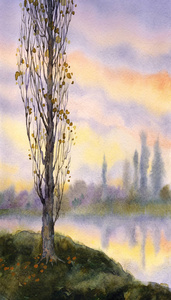 水彩风景。在静静的河面秋杨树