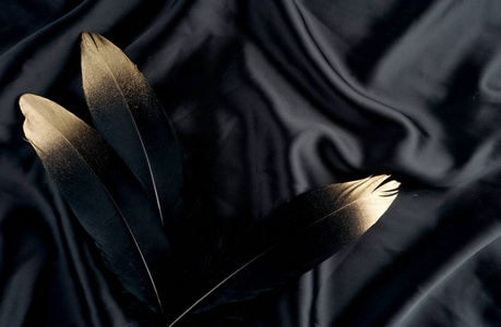 黑天鹅羽毛豪华镀金金金色黑天鹅羽毛上丝绸布背景照片