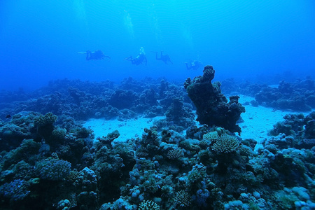 热带海洋水下