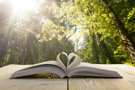 木制的桌子上自然模糊背景上本打开的书.心的书页.回到学校.