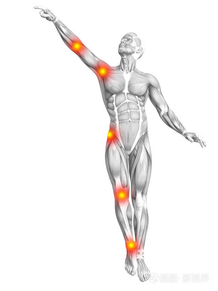 炎症或关节的关节疼痛,为卫生保健治疗或运动概念与概念人体肌肉解剖