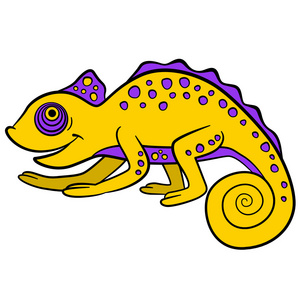 小可爱的耶伦变色龙.照片