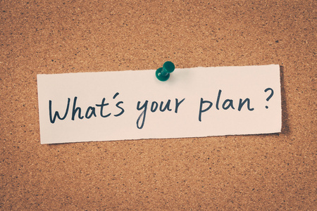 你的计划是什么