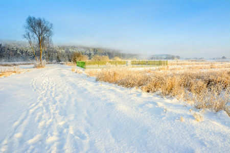 风景秀丽的冬季风景与雪农村和蓝蓝的天空，白色的圣诞节概念