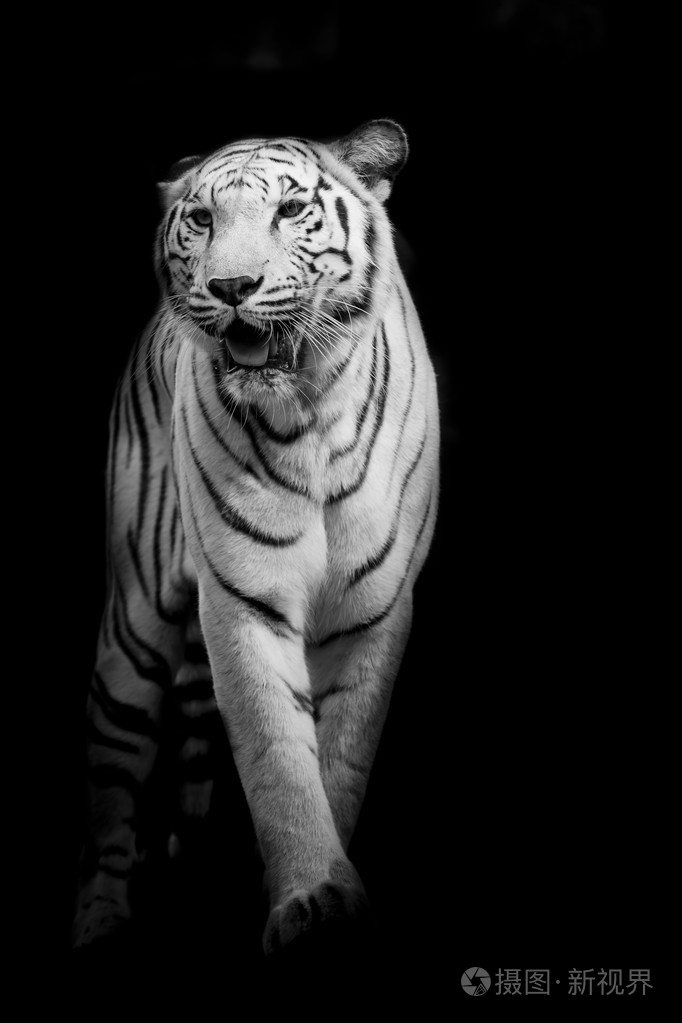 682_1023竖版 竖屏