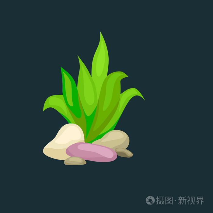 海藻 孤立五颜六色的珊瑚和藻类 矢量海底植物动物插画 正版商用图片0eenml 摄图新视界 海藻 孤立五颜六色的珊瑚和藻类 矢量海底植物动物插画 正版商用图片0eenml 摄图新视界