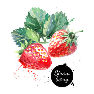 手绘水彩绘画草莓图片