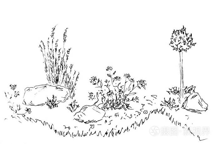 美丽的花坛手上白色的素描画