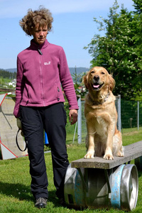 在培训期间与救援犬训狗师图片