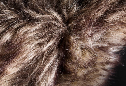 毛皮的纹理。红棕色灰太狼 狐狸 熊皮毛自然 动物野生动物概念和背景 纹理和壁纸的风格。宏棕色毛皮