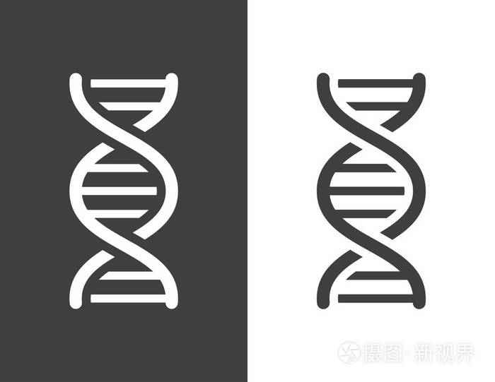 矢量暗灰色的dna螺旋图标
