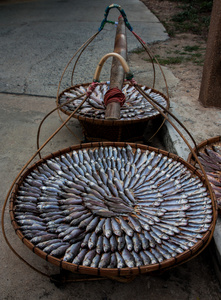 干的鱼在泰国
