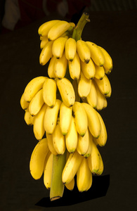 孤立在黑色背景上的香蕉