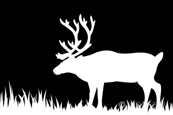 鹿在草丛中的剪影