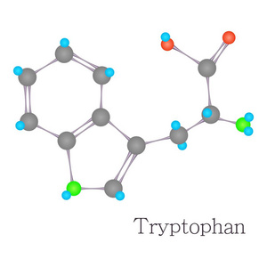 色氨酸3分子化学科学