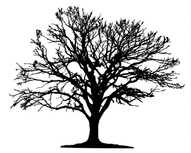 饰品春天树剪影图片