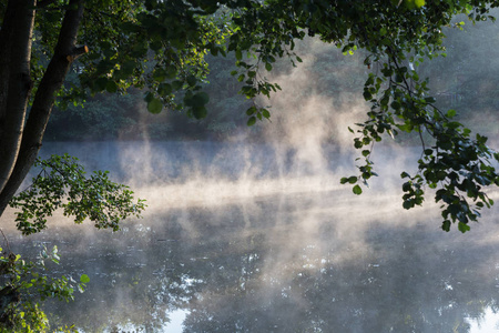 早晨，雾，池塘，夏天，天气很好