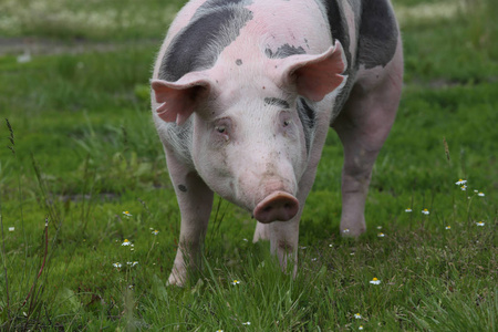 ΢ñʼ_΢ñʼǵС_΢ñʼǱʼС˵