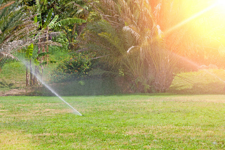 自动喷水灭火系统给草坪浇水。夏天阳光灿烂的日子