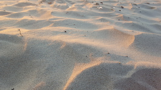 美丽沙背景