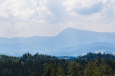 在喀尔巴阡夏日风景