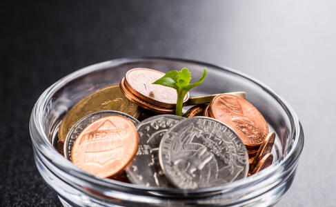 植物生长在硬币储蓄投资和利益的概念