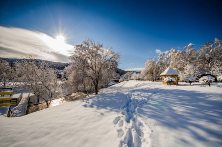 冬季景观的松树和大帽子雪和蓝天
