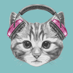 猫耳机图片