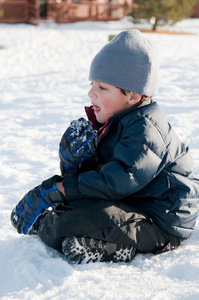 可爱的小男孩，在海军外套坐在雪中