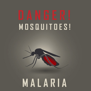 警告标志的蚊子