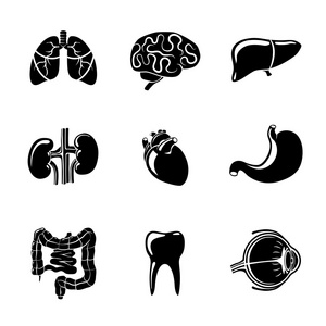 人体内部器官图标