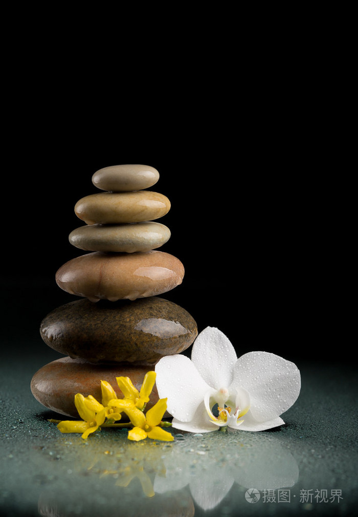 黑与白花平衡禅石头